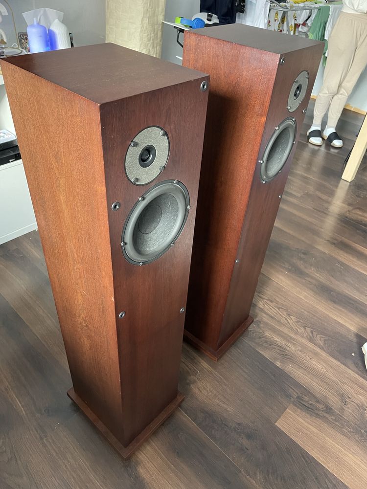 Kolumny Proac 2.5
