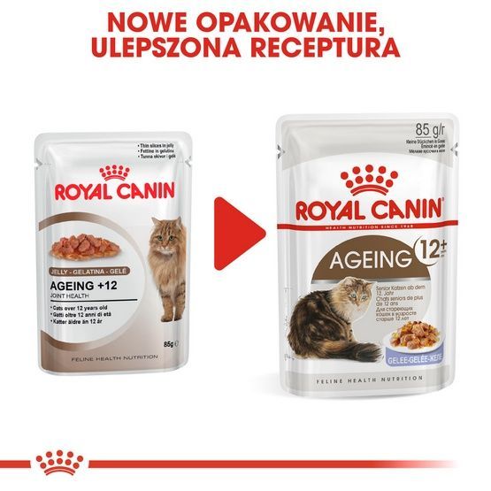 Karma w galaretce dla starszych kotów od 12 roku życia Royal Canin 85g
