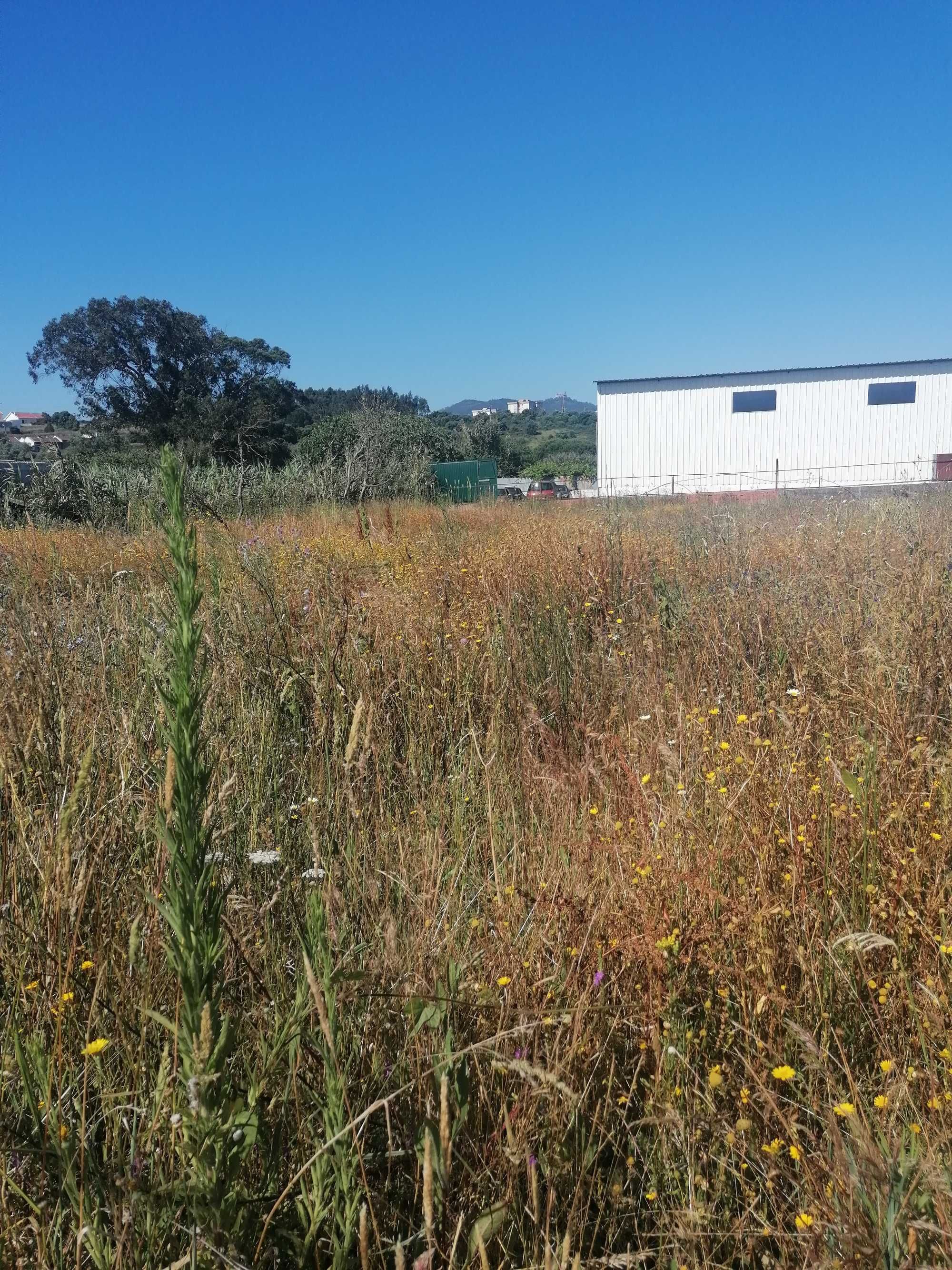 Aluguer terreno plano, berma de estrada