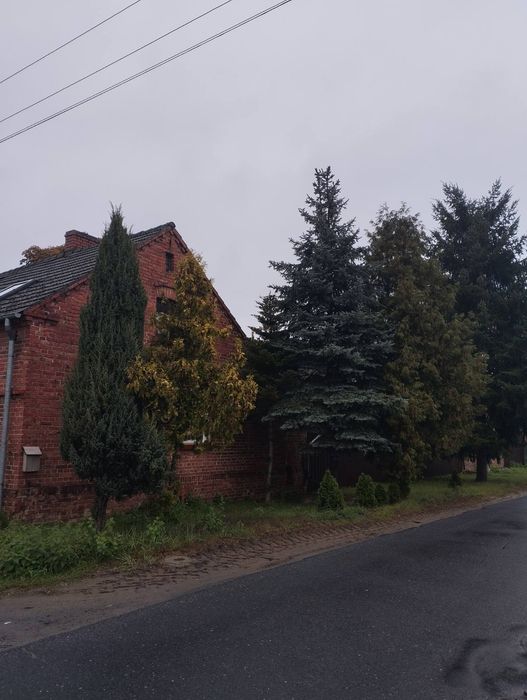 Dom mieszkalny duza dzialka