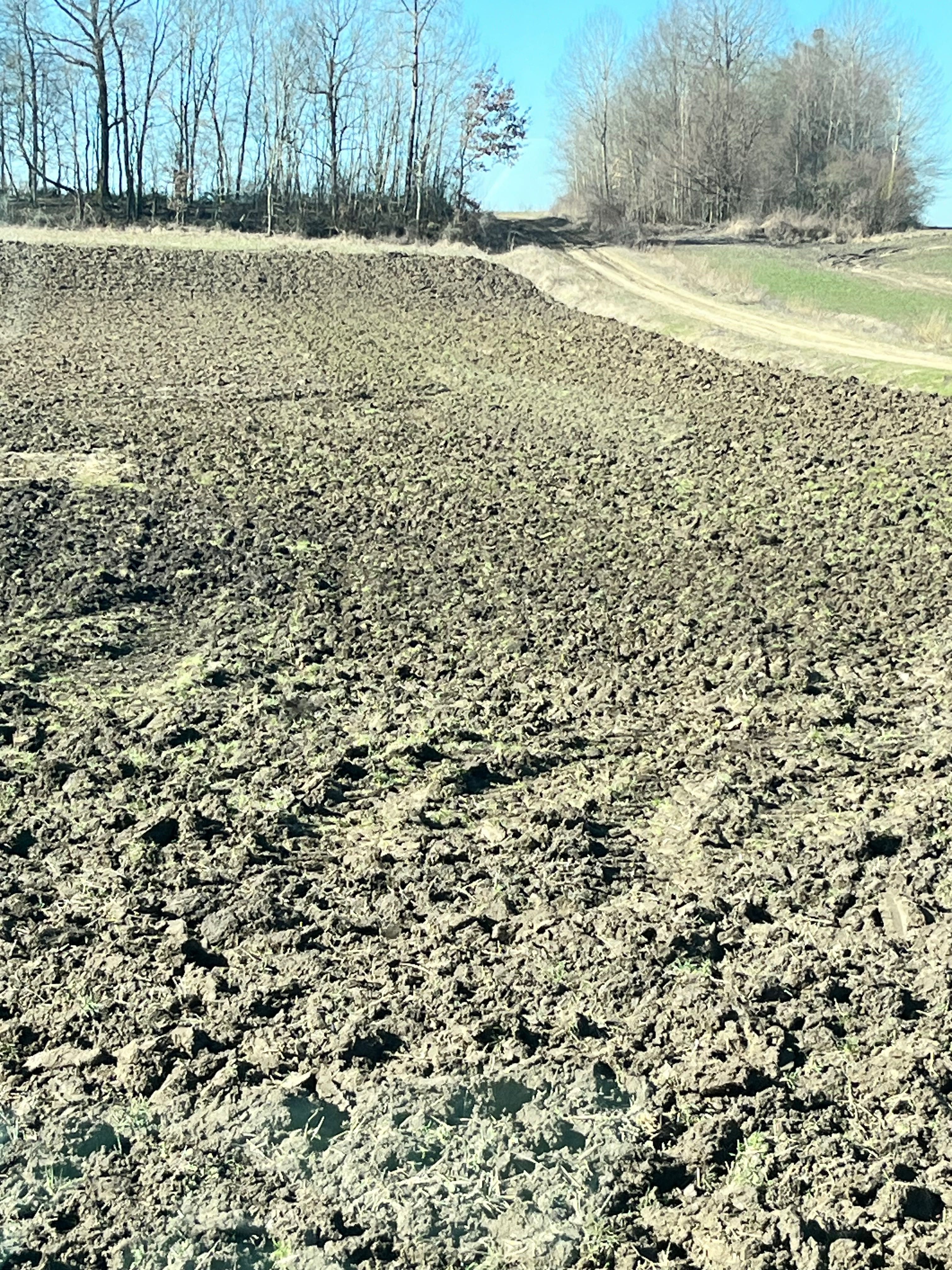 Usługa uprawy na głęboko PŁUGIEM DŁUTOWYM