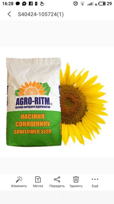 Насіння соняшнику Бомонд