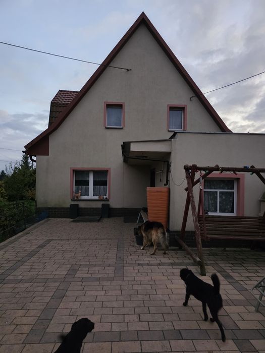 Gospodarstwo budynkami gospodarczymi oraz budynkiem mieszkalnym.