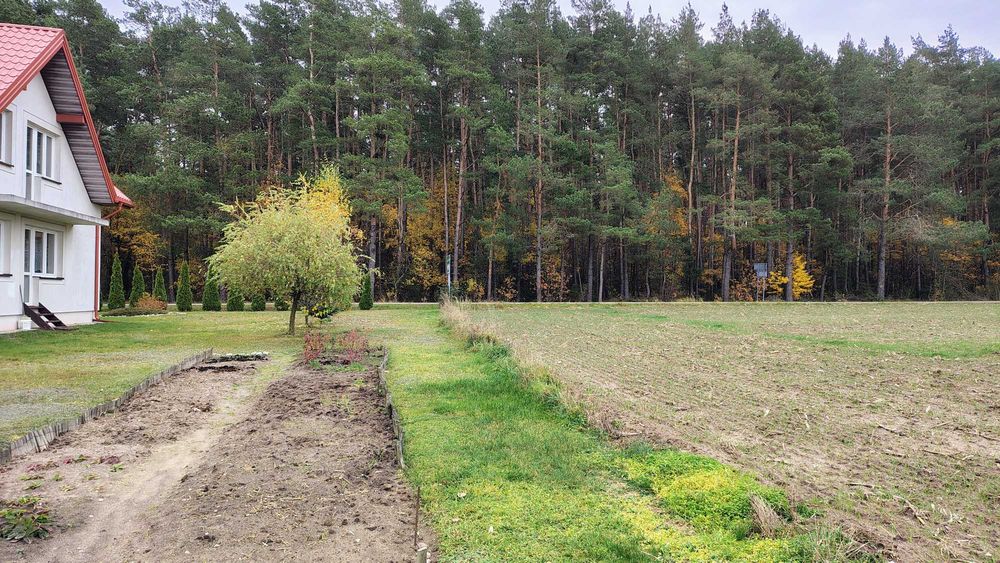 Wyjątkowa oferta – działka w malowniczej okolicy