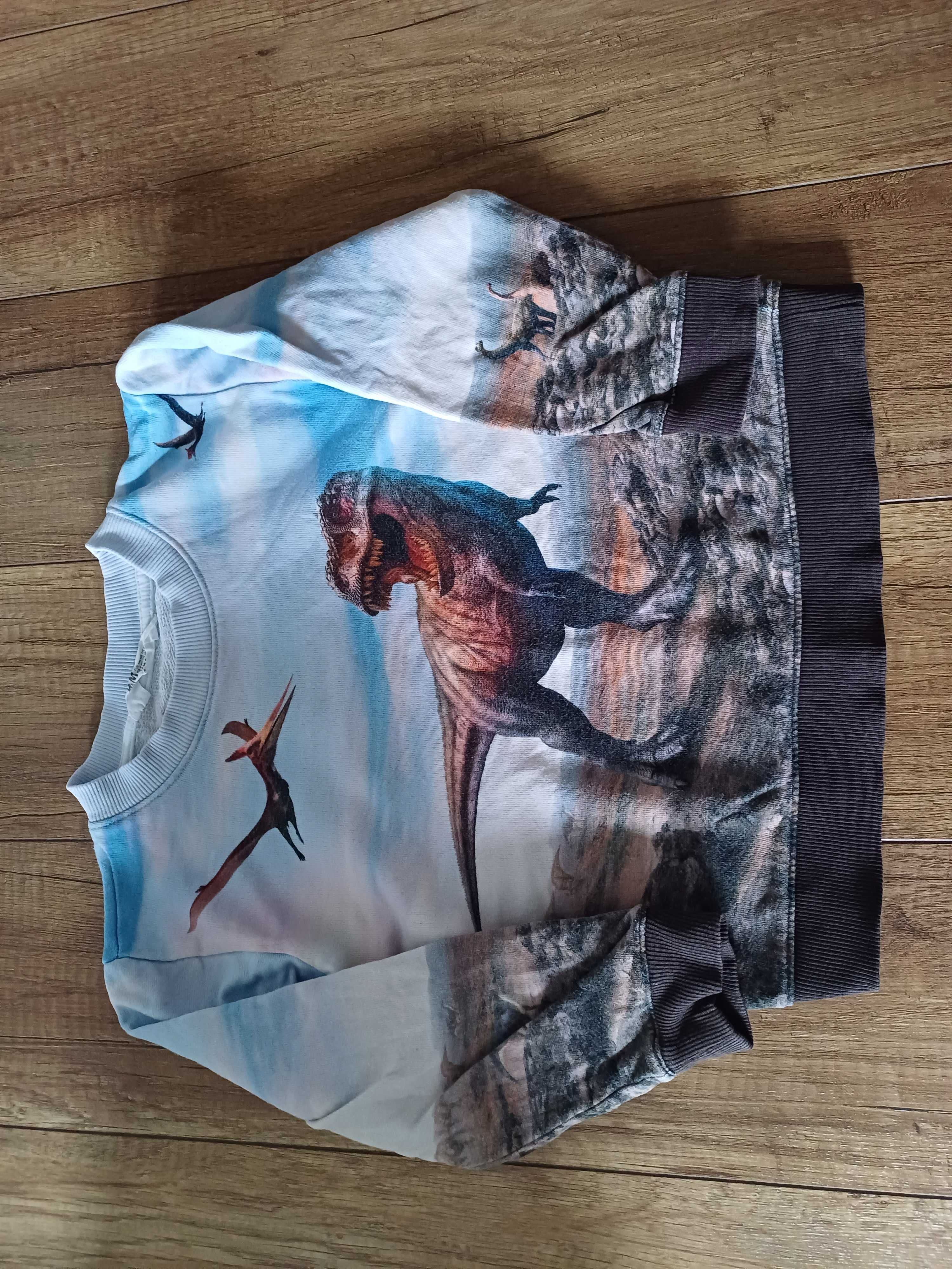 Bluza bawełniana H&M rozmiar 110/116 dinozaur jurassic park