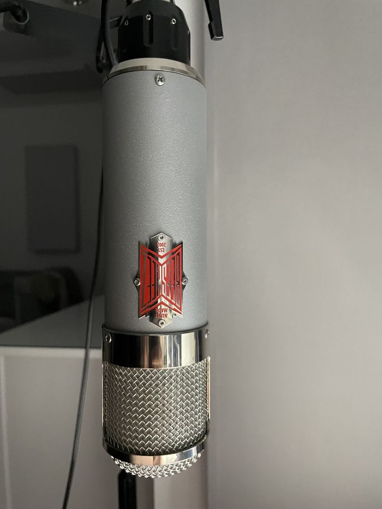 Beesneez T1 (neumann U47 vintage)