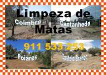 Limpeza de terrenos