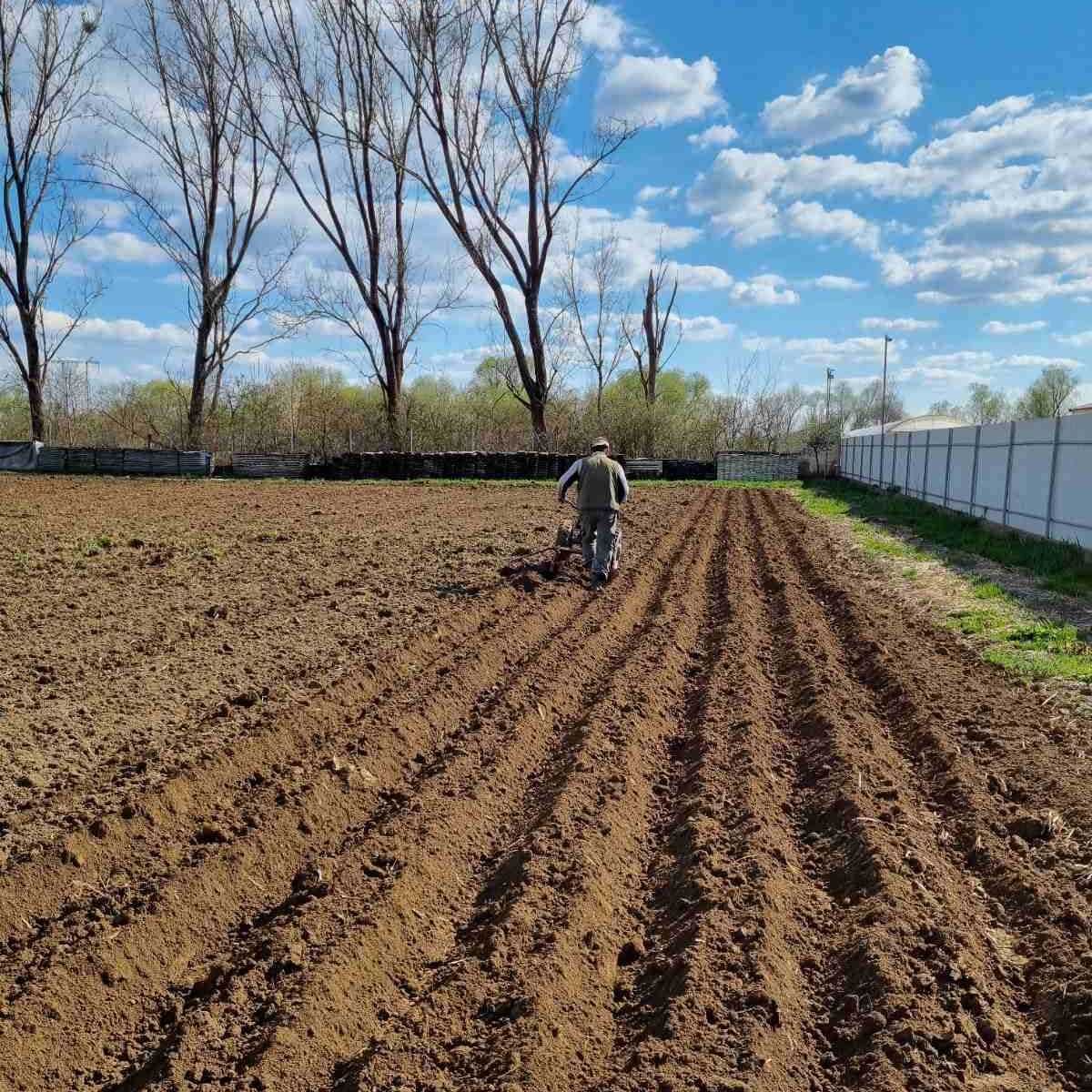 Продаж 1,3 Га землі (2 км від Мукачева). Готова ферма або під комерцію