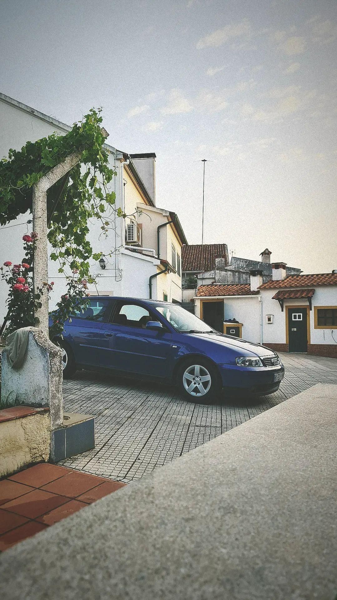 Audi a3 8l 1.9 tdi pd130
