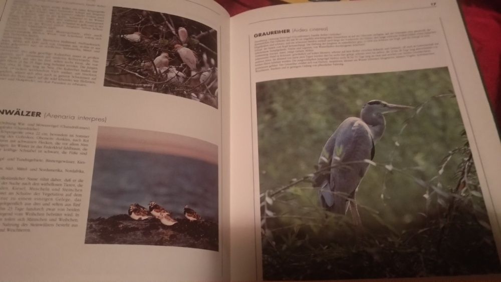 Vögel Moewig книга атлас немецкий язык птицы отличное состояние