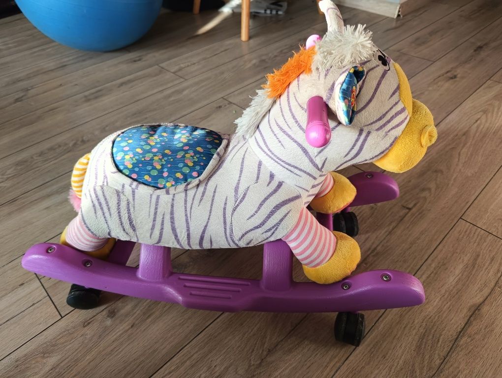 Zebra, koń na biegunach