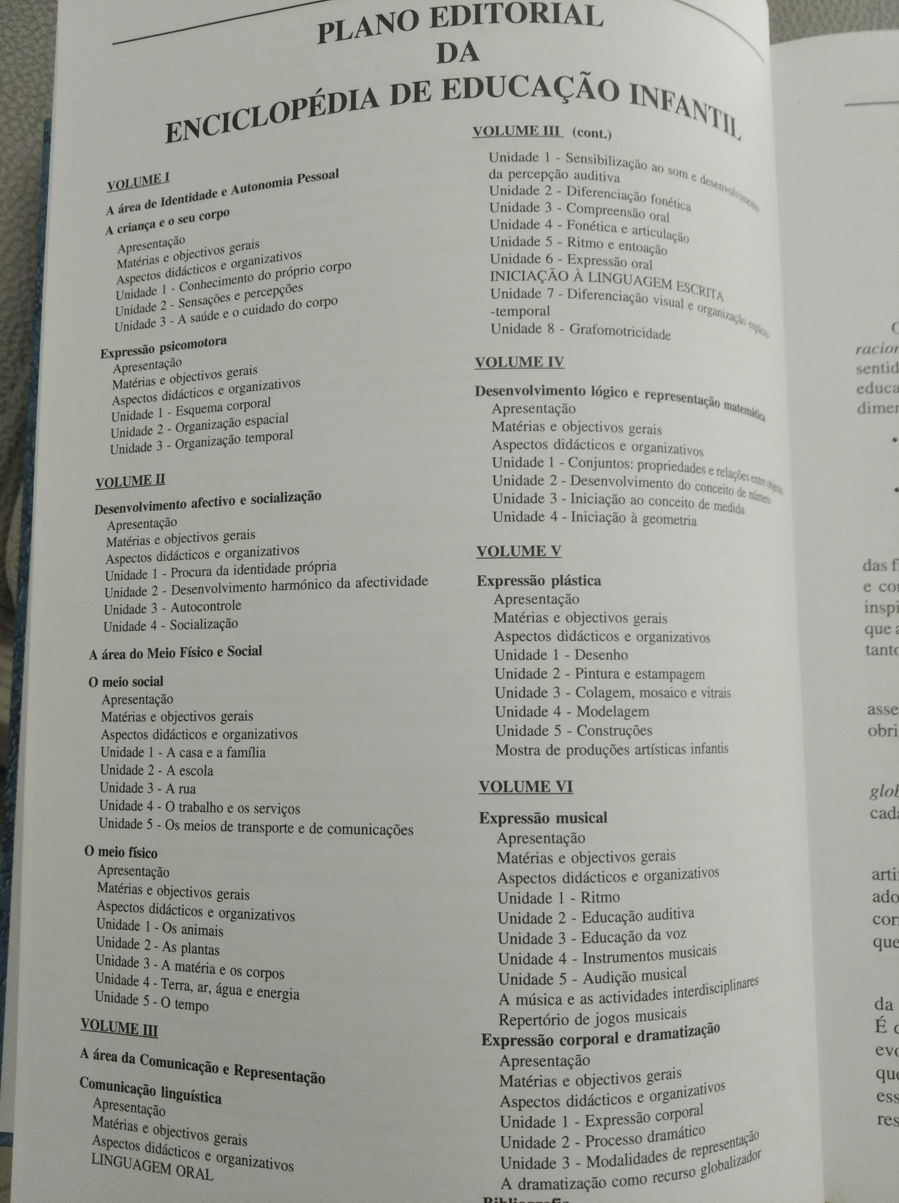 Enciclopédia completa 6+6 da Educação Infantil