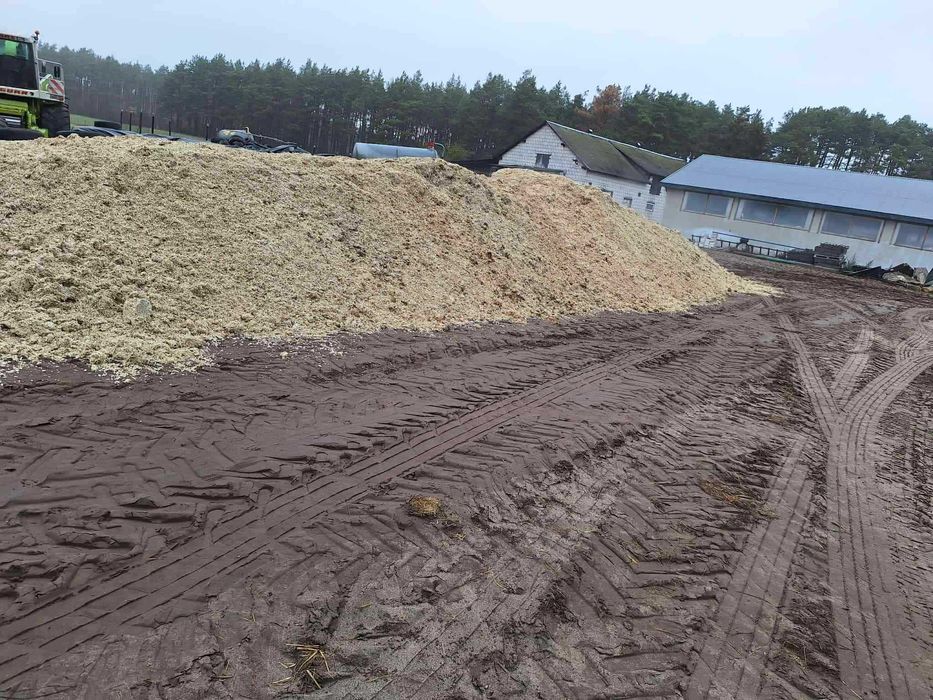 wysłodki buraczane mokre