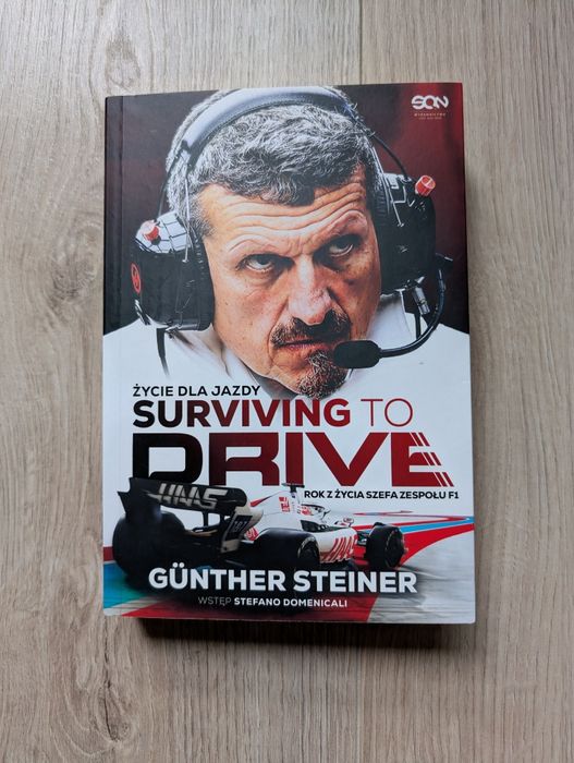 Günther Steiner Surviving to drive F1