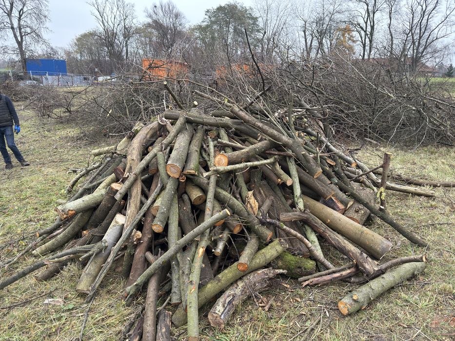 Drewno na opał oddam bezpłatnie Kraków