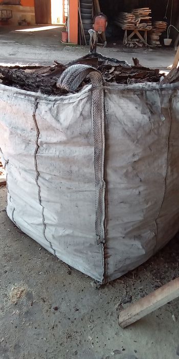 Casca Pinheiro  natural