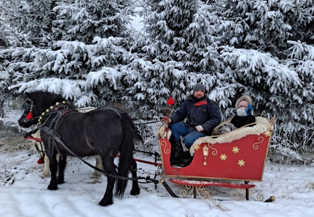 Do konia Dzwonki janczary   na dużego konia