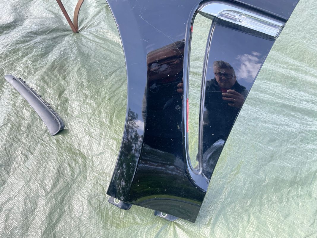 Porsche Panamera 970 Błotnik Lewy Przód Przedni L041