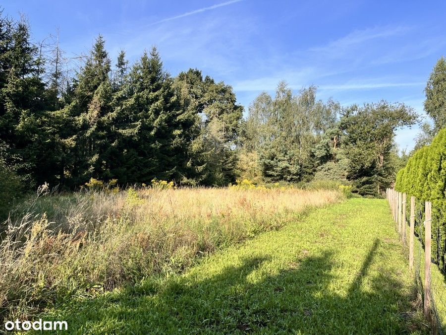 Działka W Pobliżu Lasu I Stacji Pkp