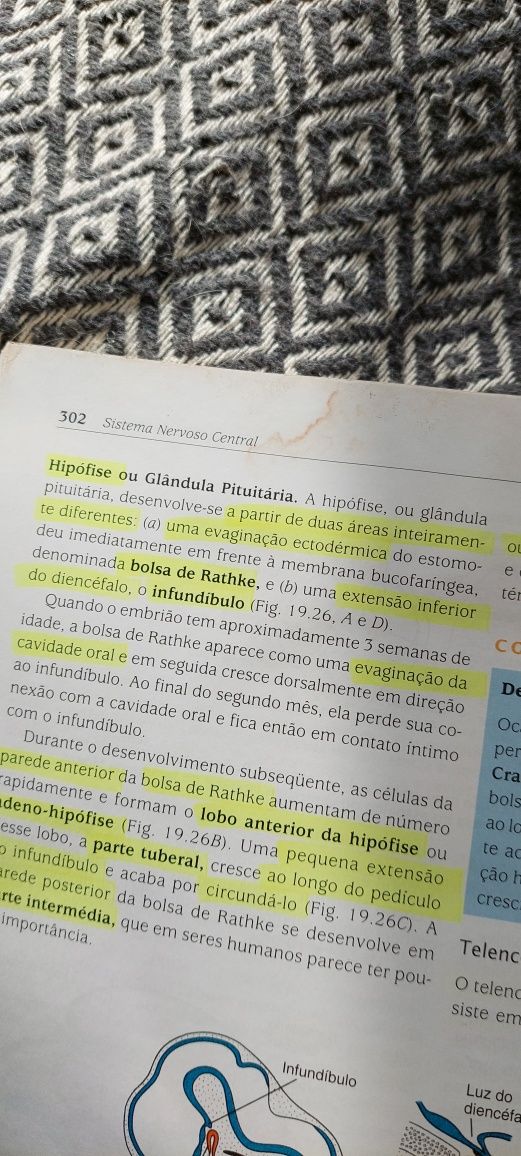 Livro Embriologia Médica