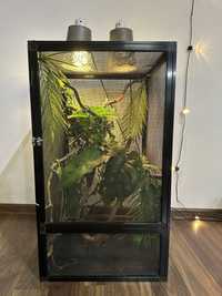 Terarium dla kamelona 45x45x90