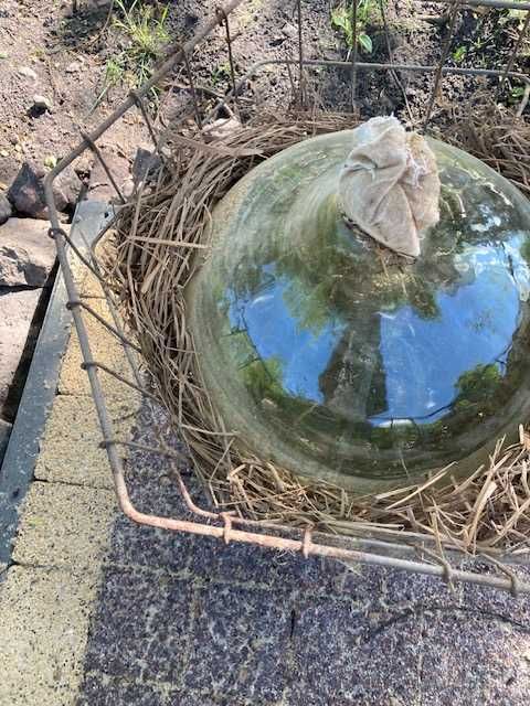 Szklany GĄSIOR, BALON w metalowym koszu na wino, soli, nalewki 30 l.