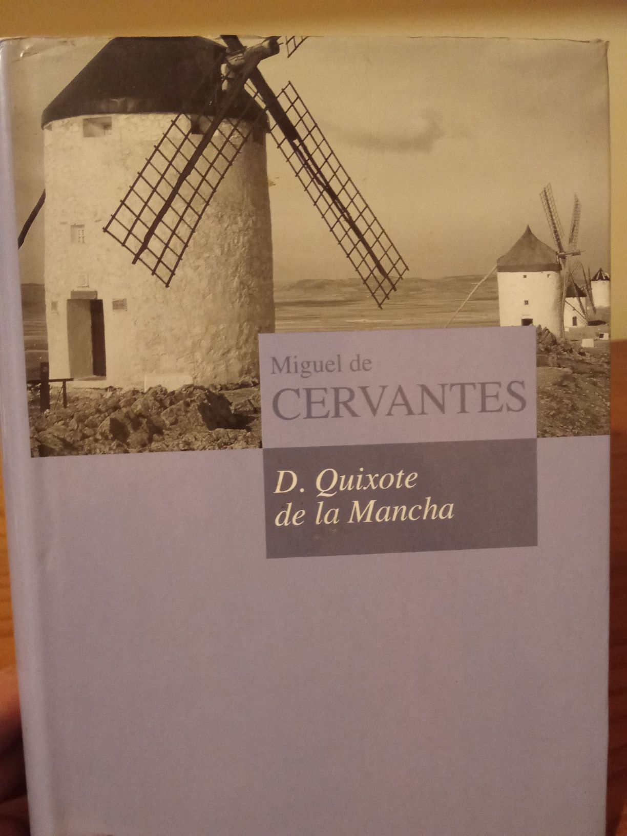 D. Quixote de la Mancha