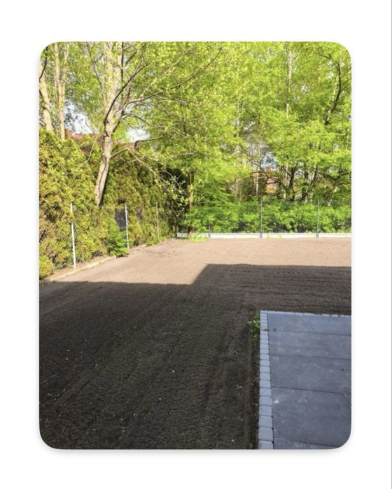 Glebogryzarka SEPARACYJNA wynajem