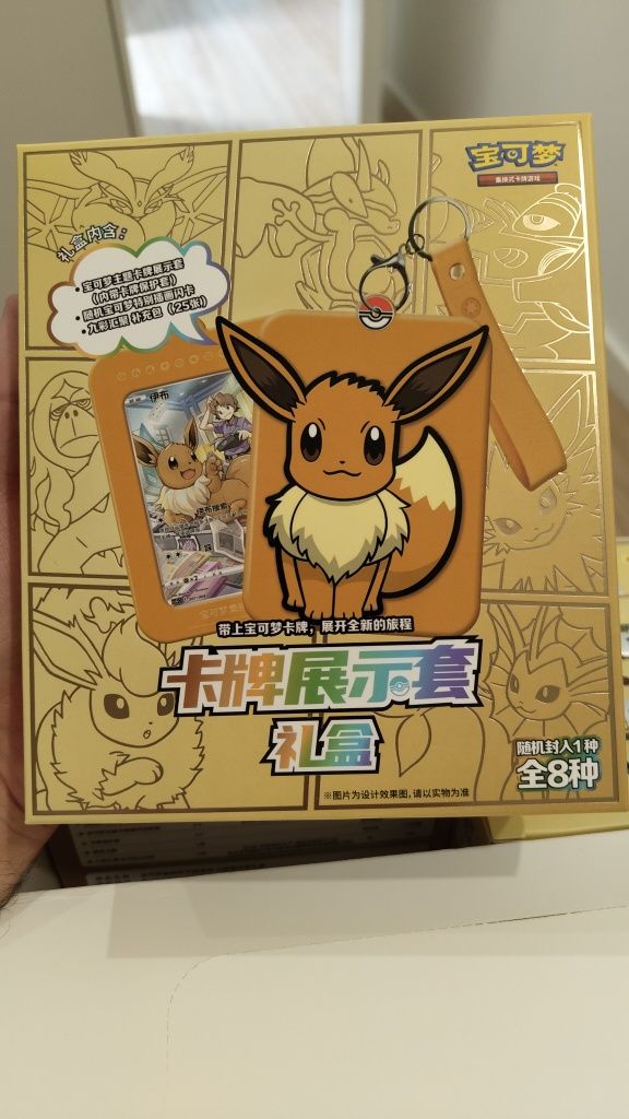 Pokémon Eevee display set Simplified Chinese