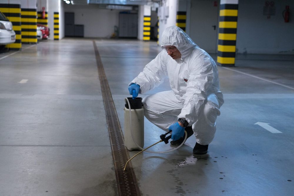 Deratyzacja dezynsekcja Zwalczanie pluskiew dezynfekcja,gazowanie fumi