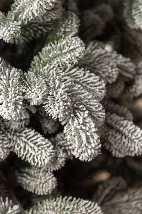 Ялинка лита ковалівска засніжена 3850 грн.висота 1.5 метр.