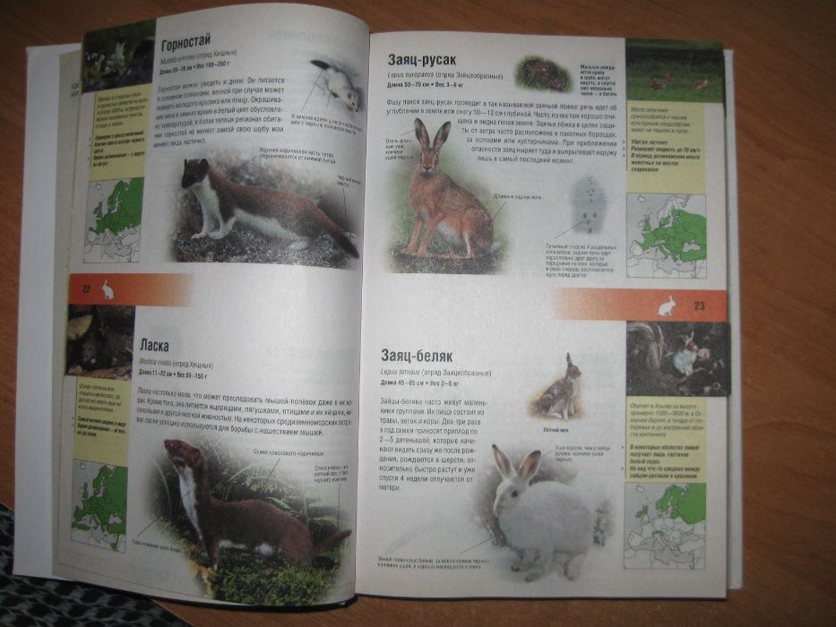 Энциклопедия животных и растений
