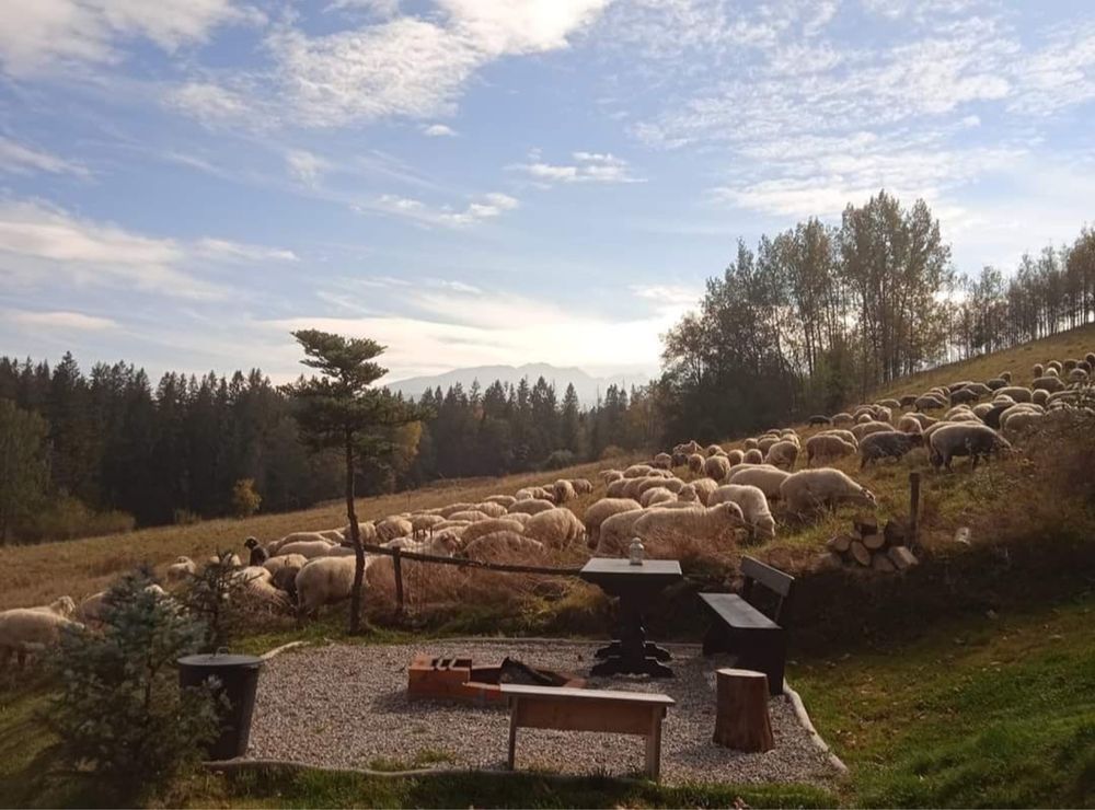 Domek Zakopane Villa Szałas. Balia. Piękny widok