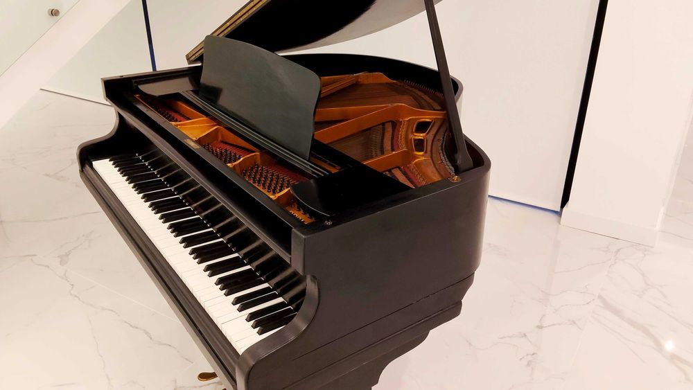 Piano de Cauda Waldberg - Berlin