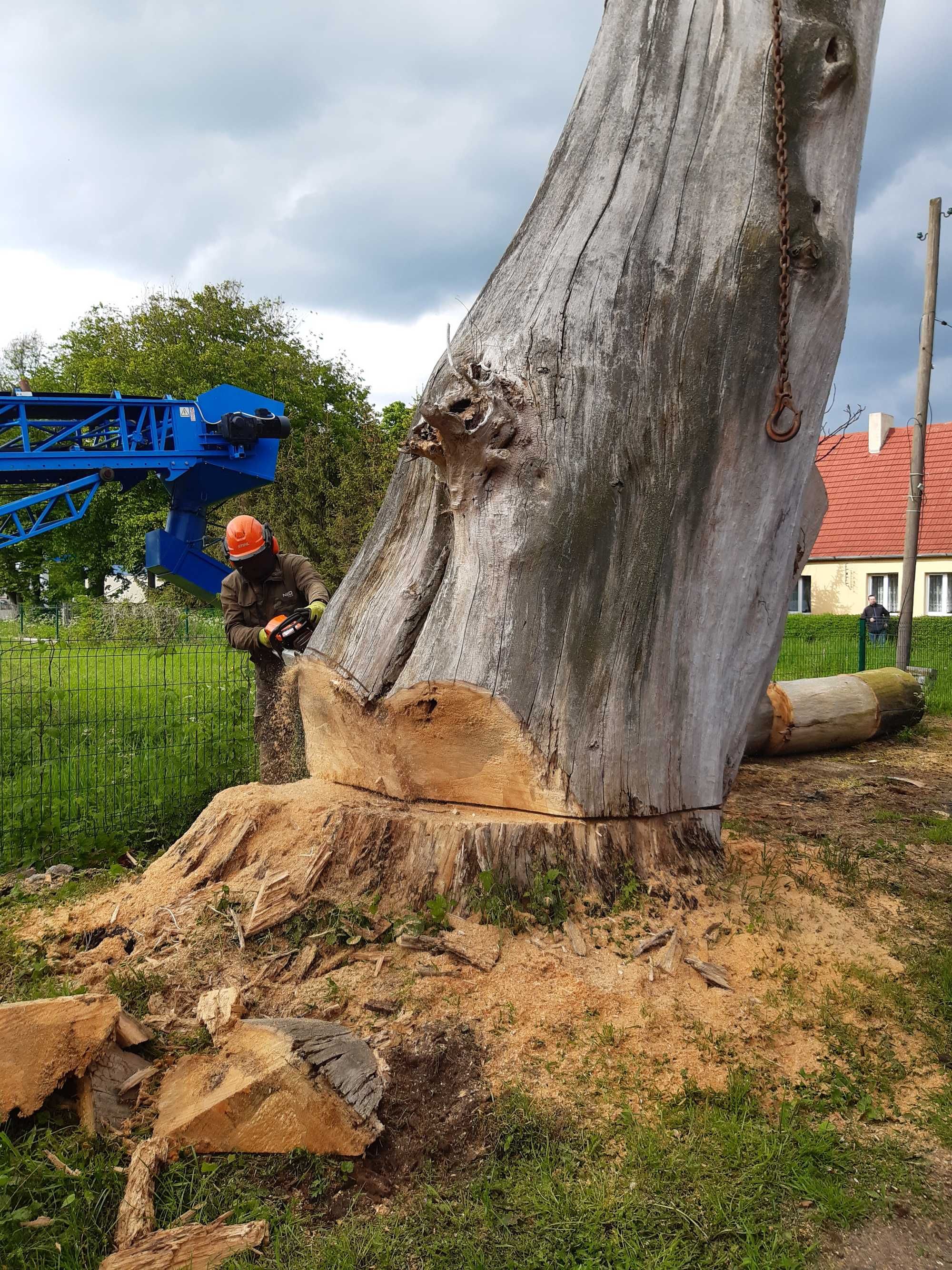 Wycinka drzew. Podnośnik koszowy. Firma Max - Lift