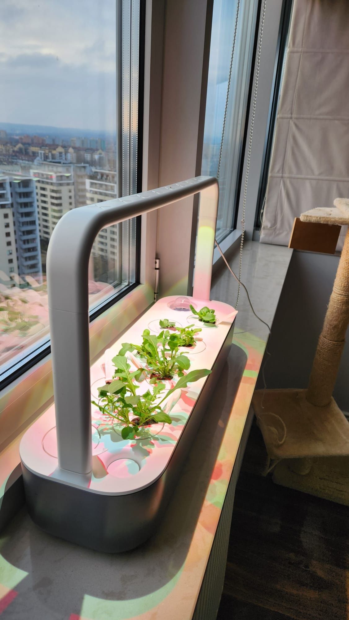 Click and Grow Smart Garden 9 inteligentnych doniczek na zioła