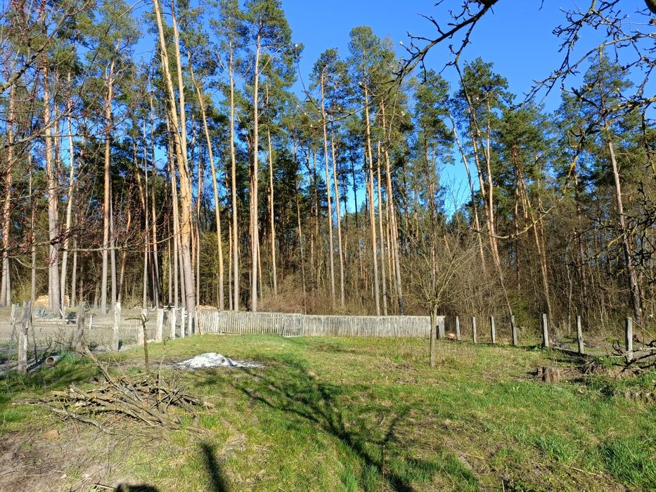 Продам півбудинку в мальовничому місці (150 км від Києва)