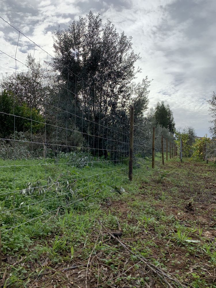 Escavações e Limpeza de Terrenos