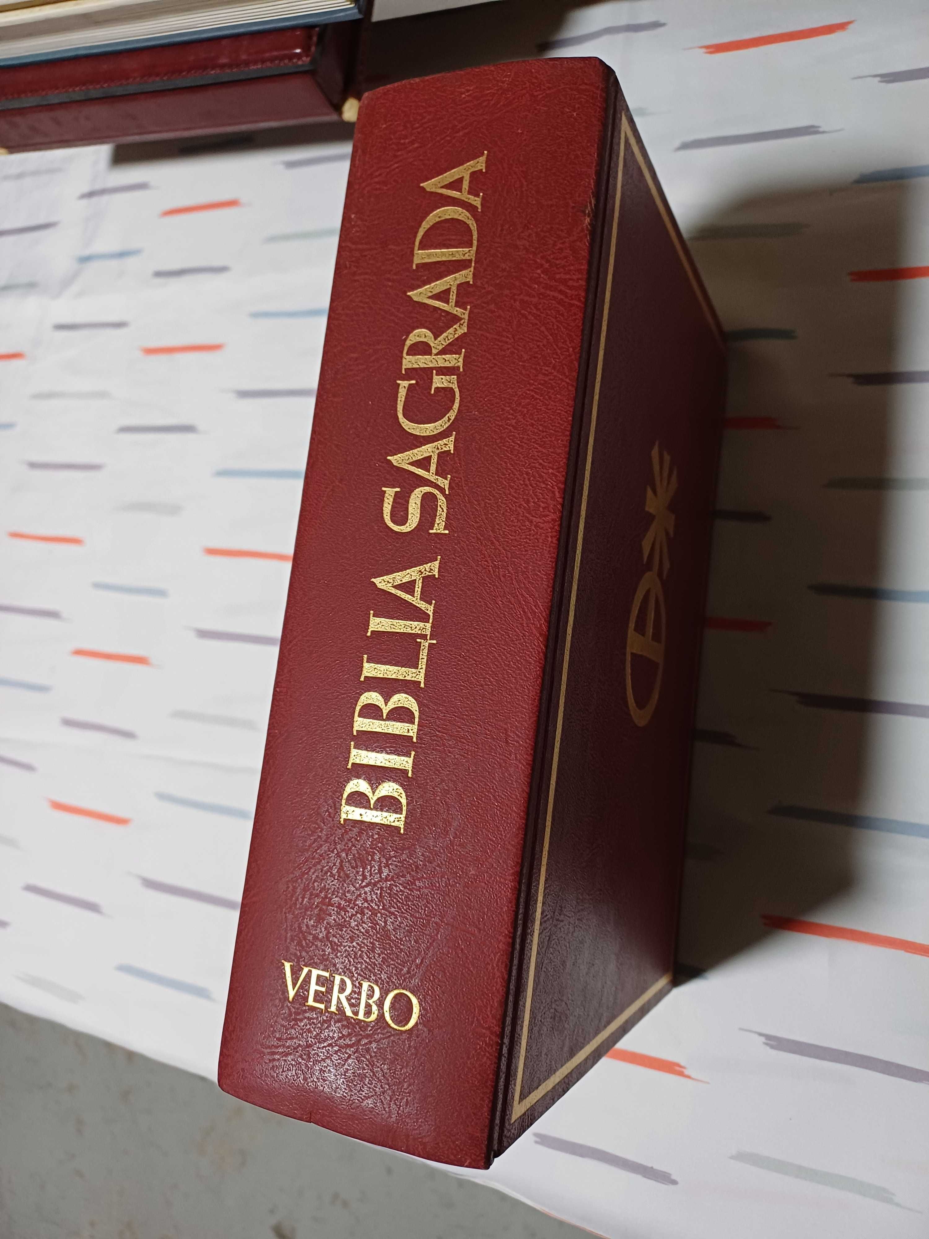 BÍBLIA Sagrada - Edição Verbo