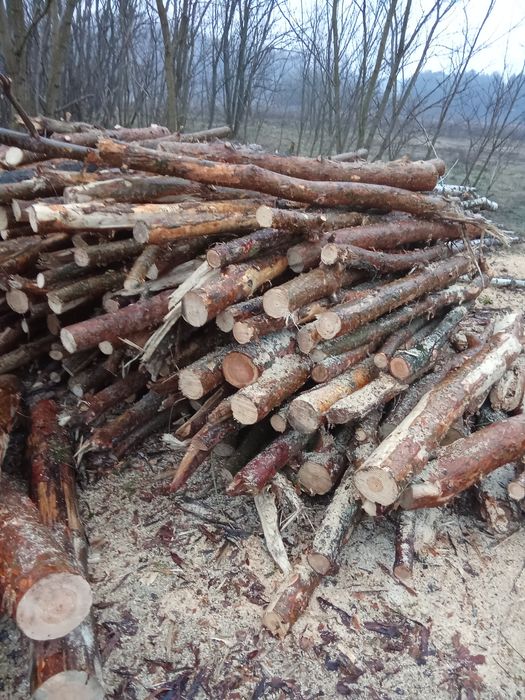Sprzedam drewno opałowe