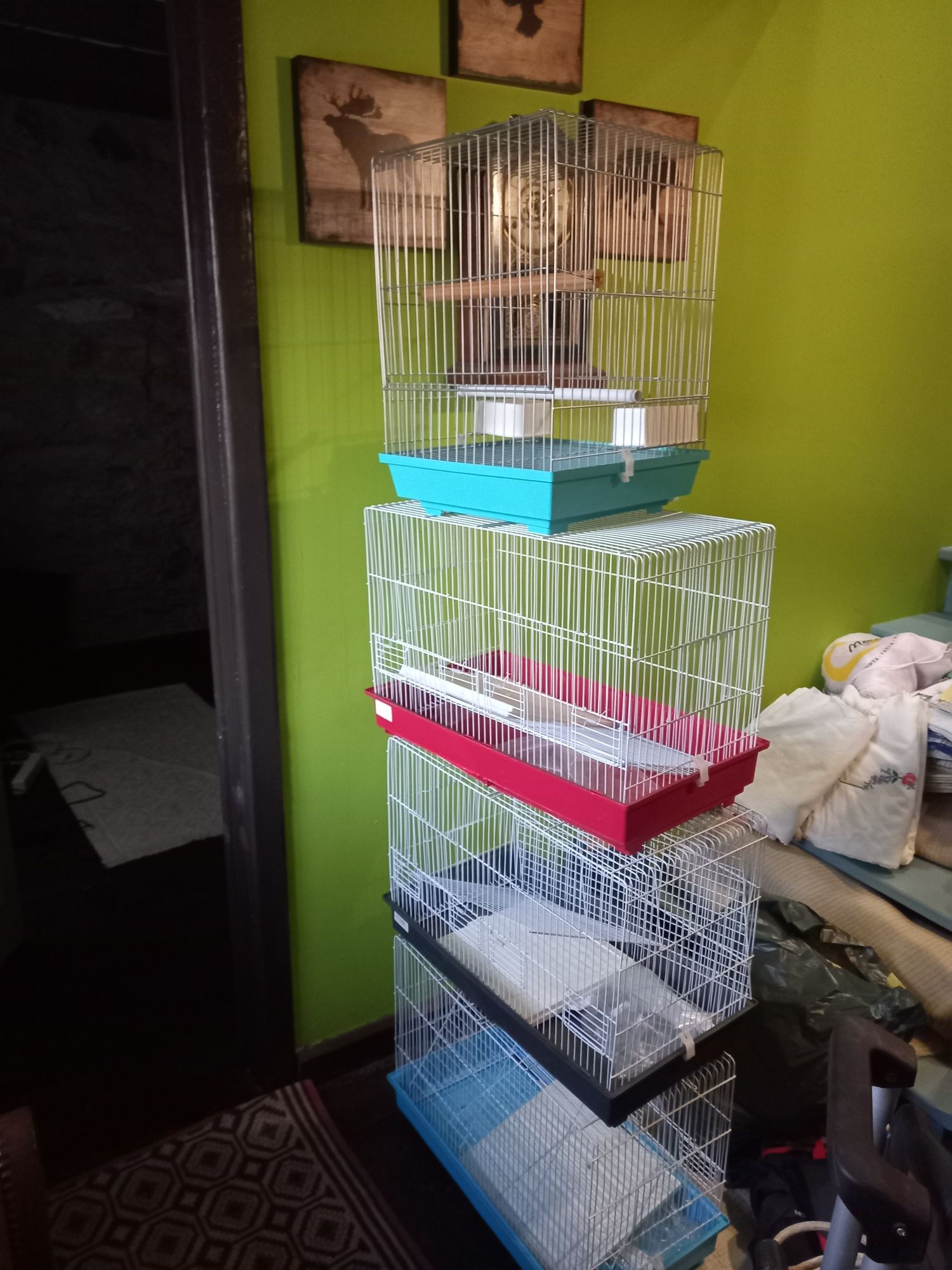 DESOCUPAR ( LER a descrição)Acessórios de animais