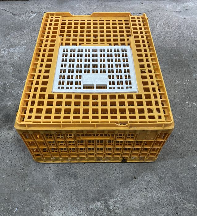 Jaula gaiola transporte aves