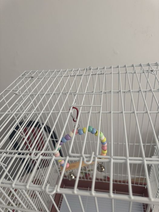 Gaiolas e casas para pássaros como nova .