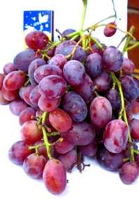 Черенки винограда «Червона зірка»