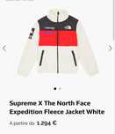 Supreme x North face