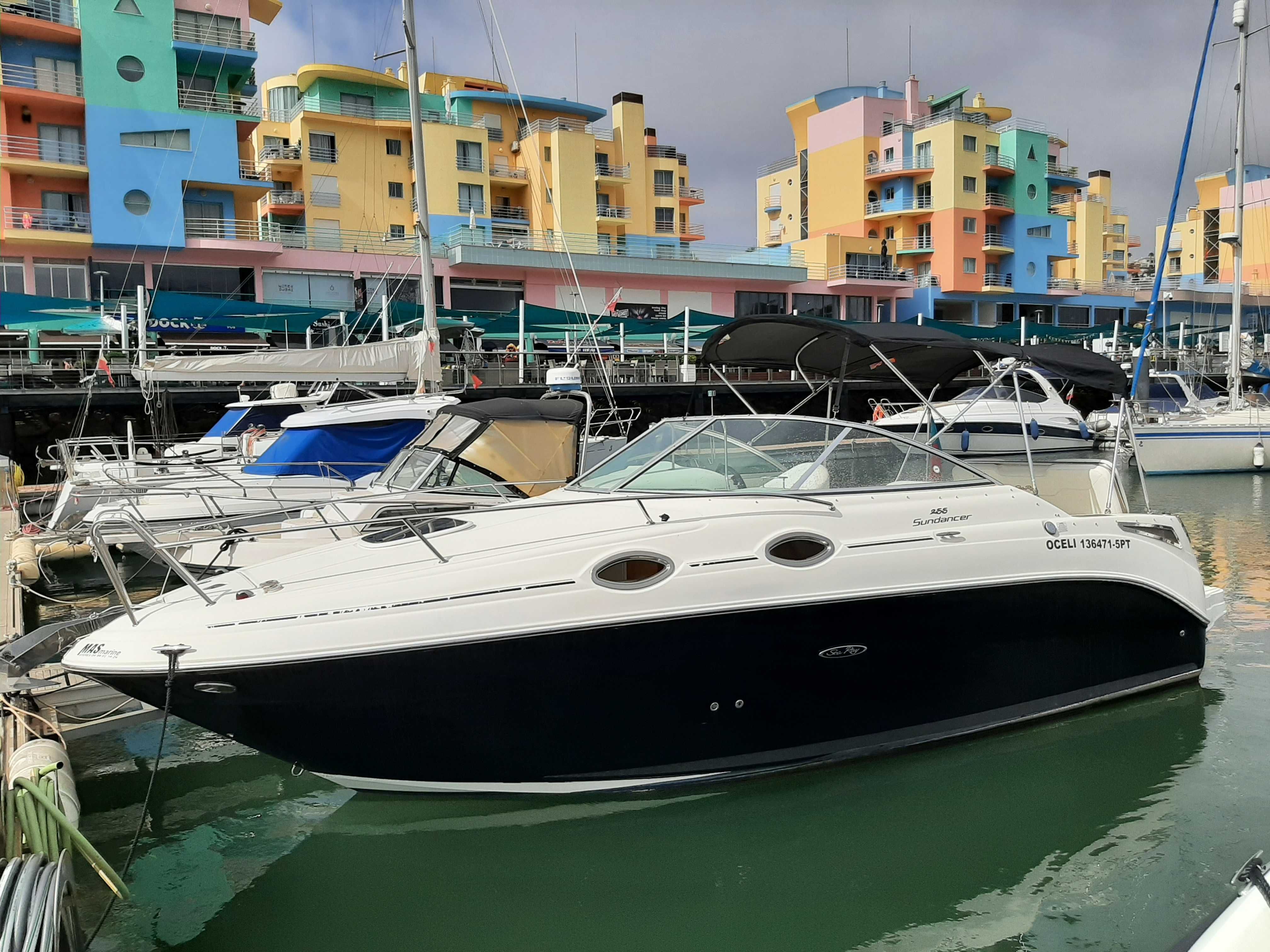 Barco Sea Ray 255 Sundancer - Conforto, Potência e Estilo