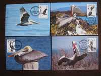 Wyspy Dziewicze -Maxim karty-Ptaki, Pelikan -WWF