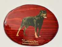 Obrazek na desce - rottweiler.