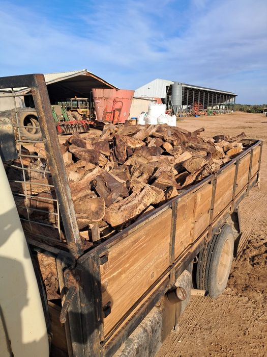 Vendemos lenha de azinho e sobro
