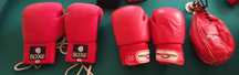 Luvas de boxe pro touch